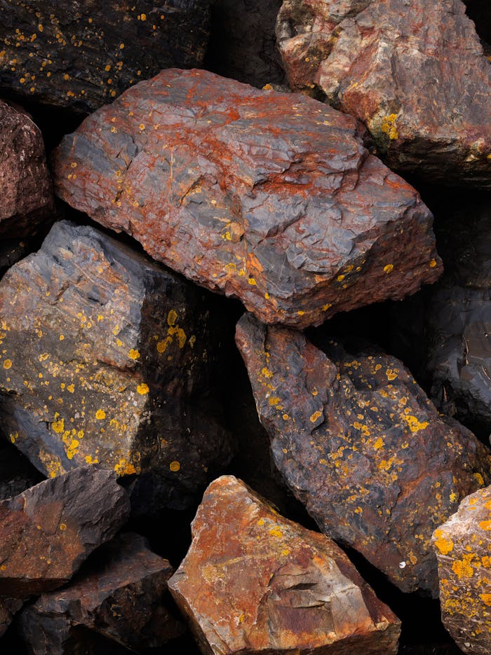 Close-up photo of various colored rough stones showcasing natural textures and patterns.
